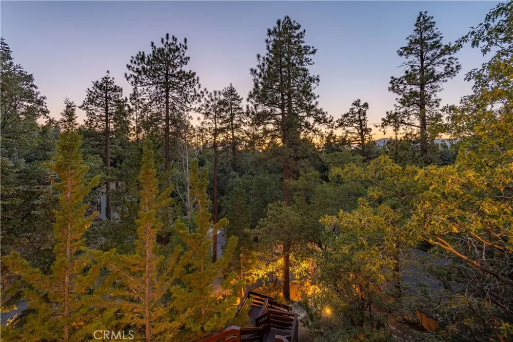 41205 Terrapin Road Big Bear Lake, CA 92315