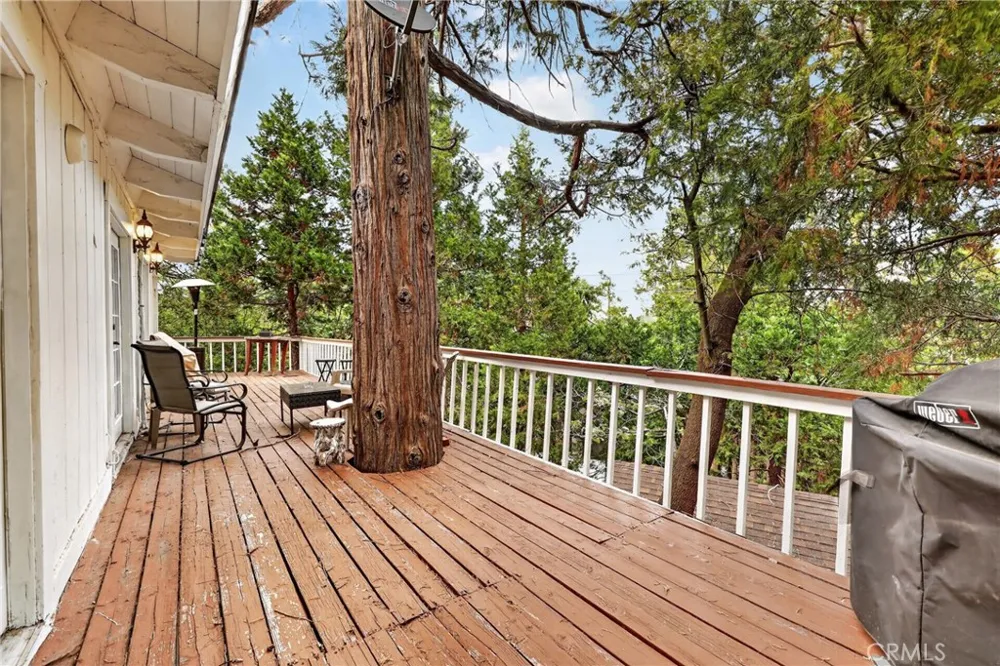 28975 Alder Terrace Cedar Glen, CA 92321