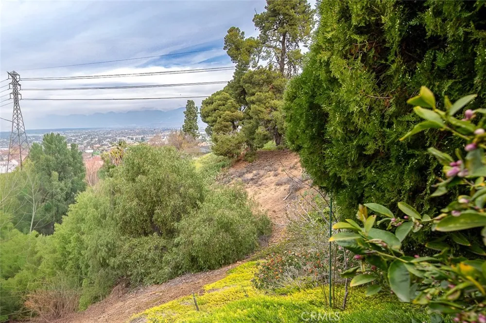 23144 Twin Canyon Grand Terrace, CA 92313