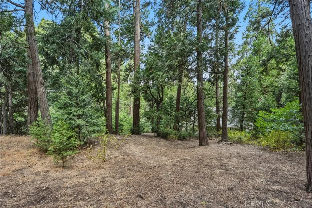 24036 Cresta Crestline, CA 92325