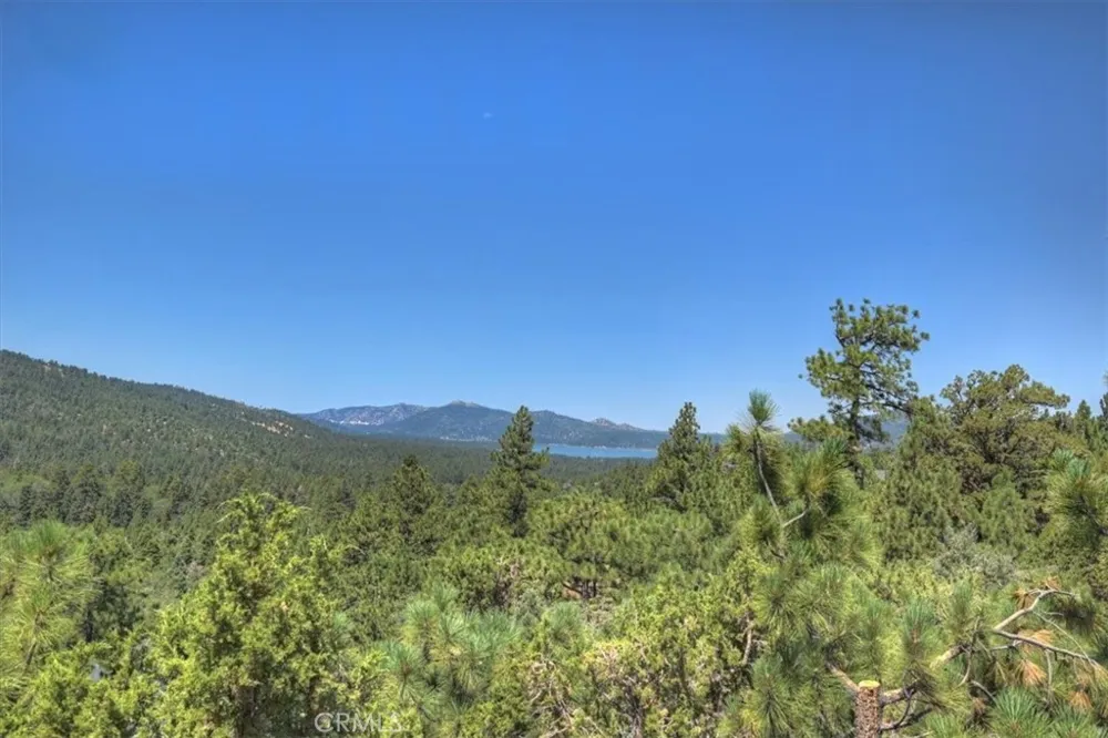 43659 Wolf Big Bear Lake, CA 92315