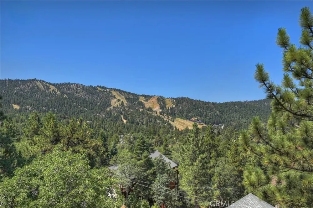 43659 Wolf Big Bear Lake, CA 92315