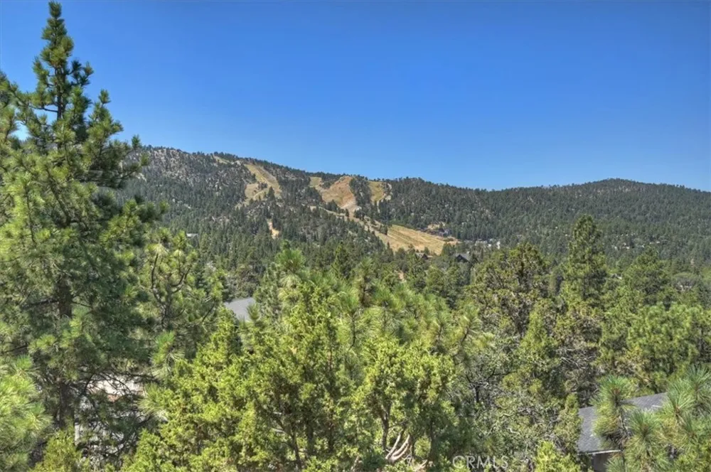 43659 Wolf Big Bear Lake, CA 92315