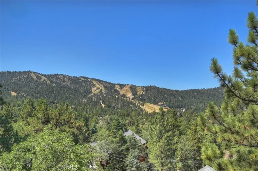 43659 Wolf Big Bear Lake, CA 92315
