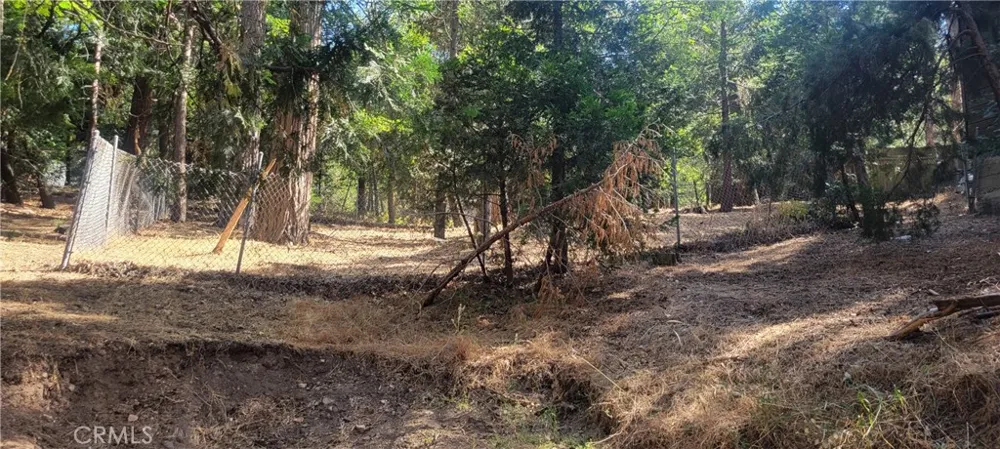 21891 Plunge Cedarpines Park, CA 92322