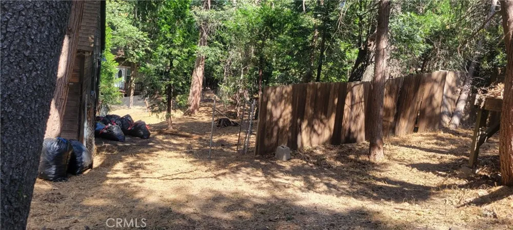 21891 Plunge Cedarpines Park, CA 92322