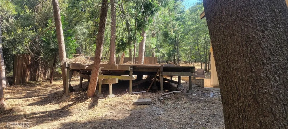 21891 Plunge Cedarpines Park, CA 92322