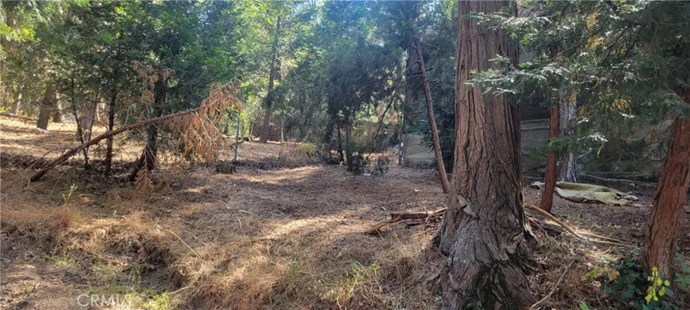 21891 Plunge Cedarpines Park, CA 92322