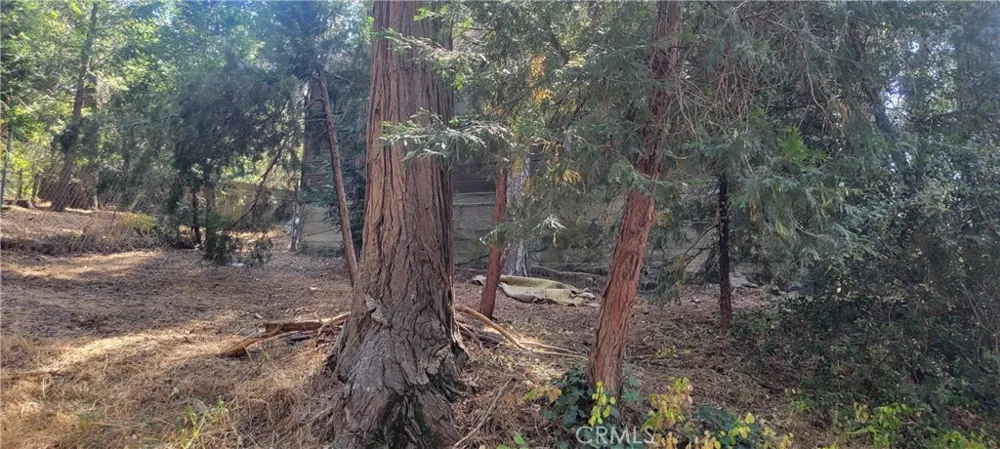 21891 Plunge Cedarpines Park, CA 92322