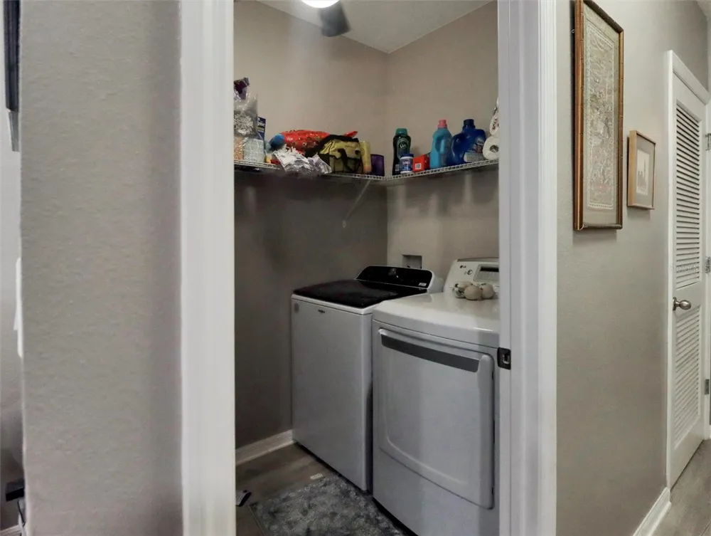 10408 WHISPERING HAMMOCK DRIVE Riverview, FL 33578