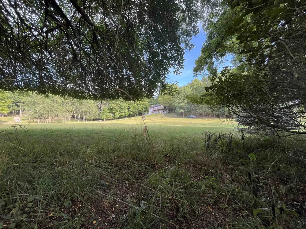 10420 Maple View Drive Central Lake Township, MI 49622