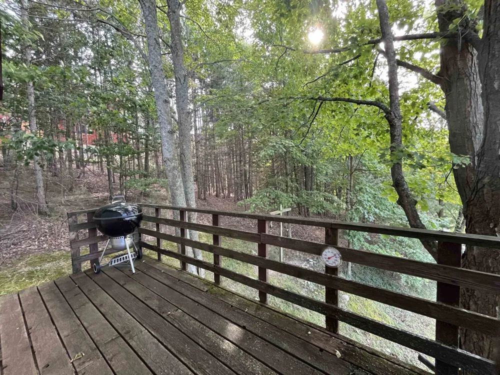 10420 Maple View Drive Central Lake Township, MI 49622