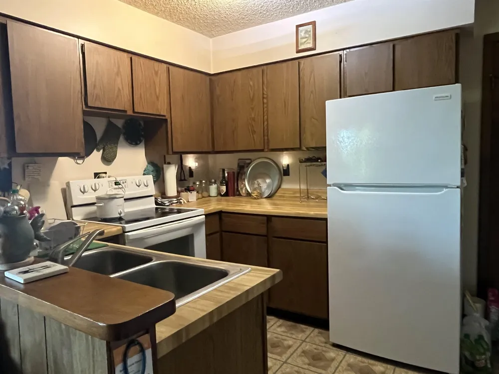 10420 Maple View Drive Central Lake Township, MI 49622