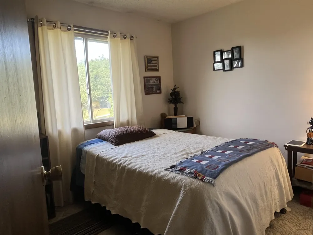 10420 Maple View Drive Central Lake Township, MI 49622