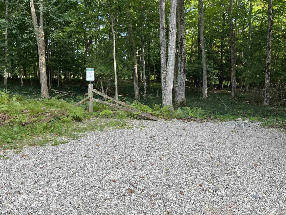 10420 Maple View Drive Central Lake Township, MI 49622