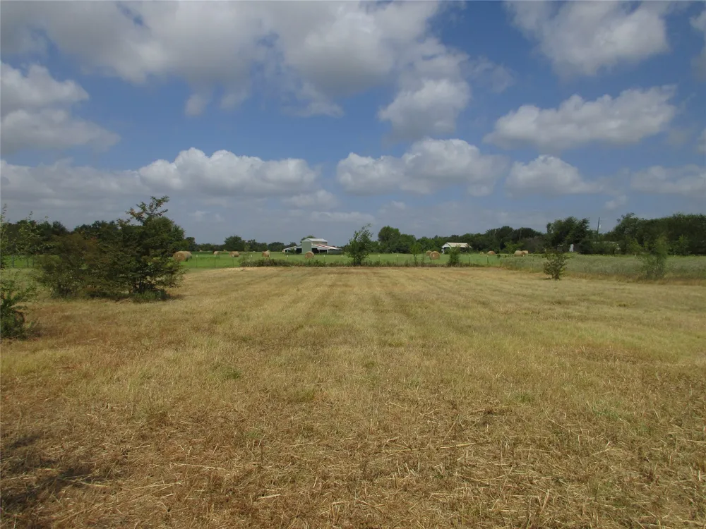S Lilly Kosse, TX 76635