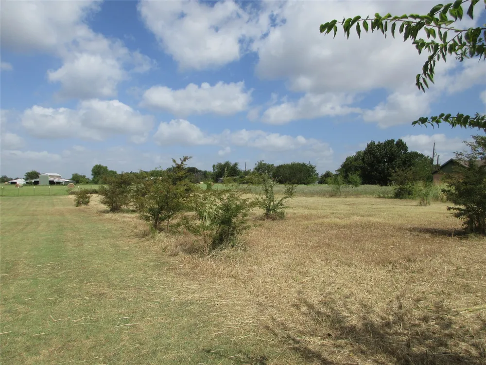 S Lilly Kosse, TX 76635