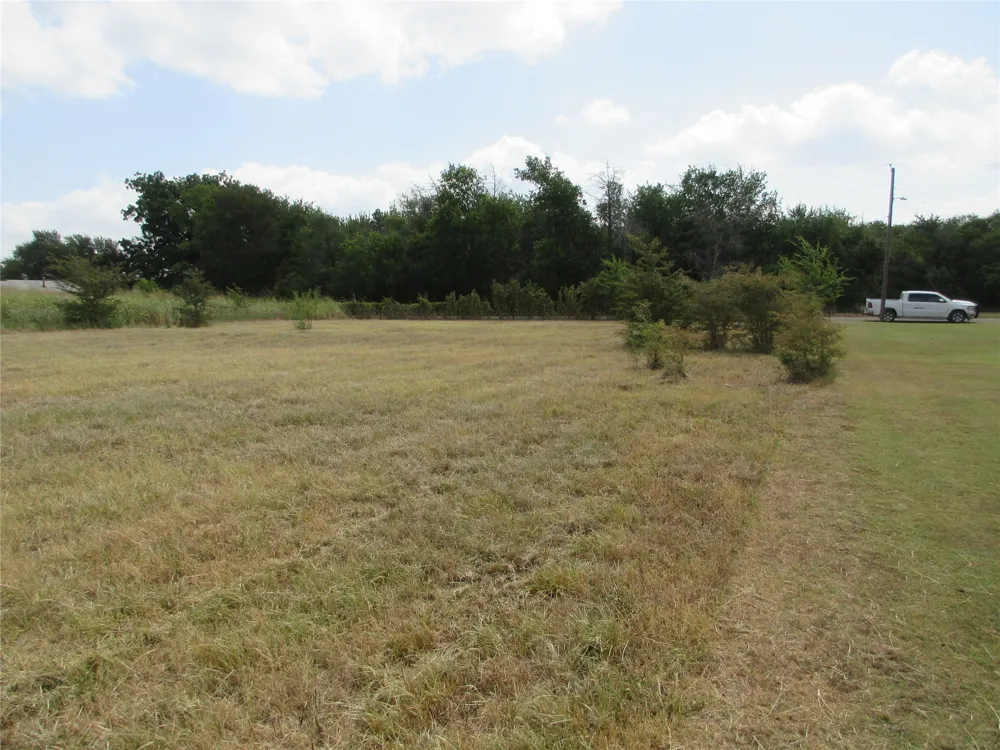 S Lilly Kosse, TX 76635