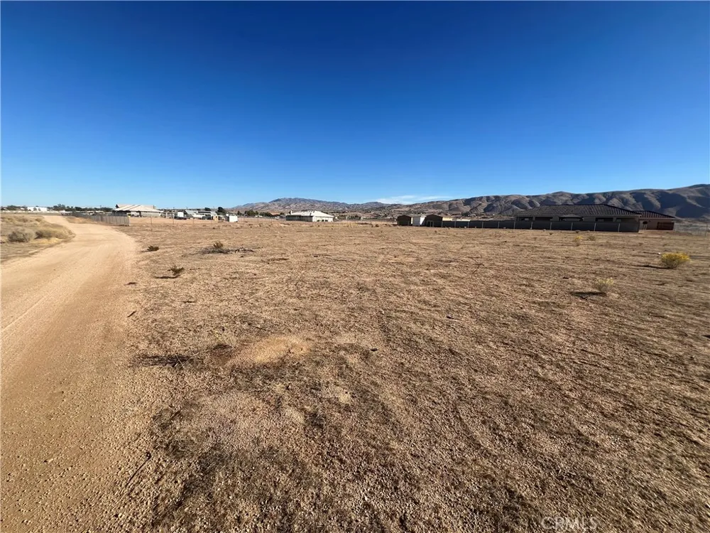 Panoche Apple Valley, CA 92308