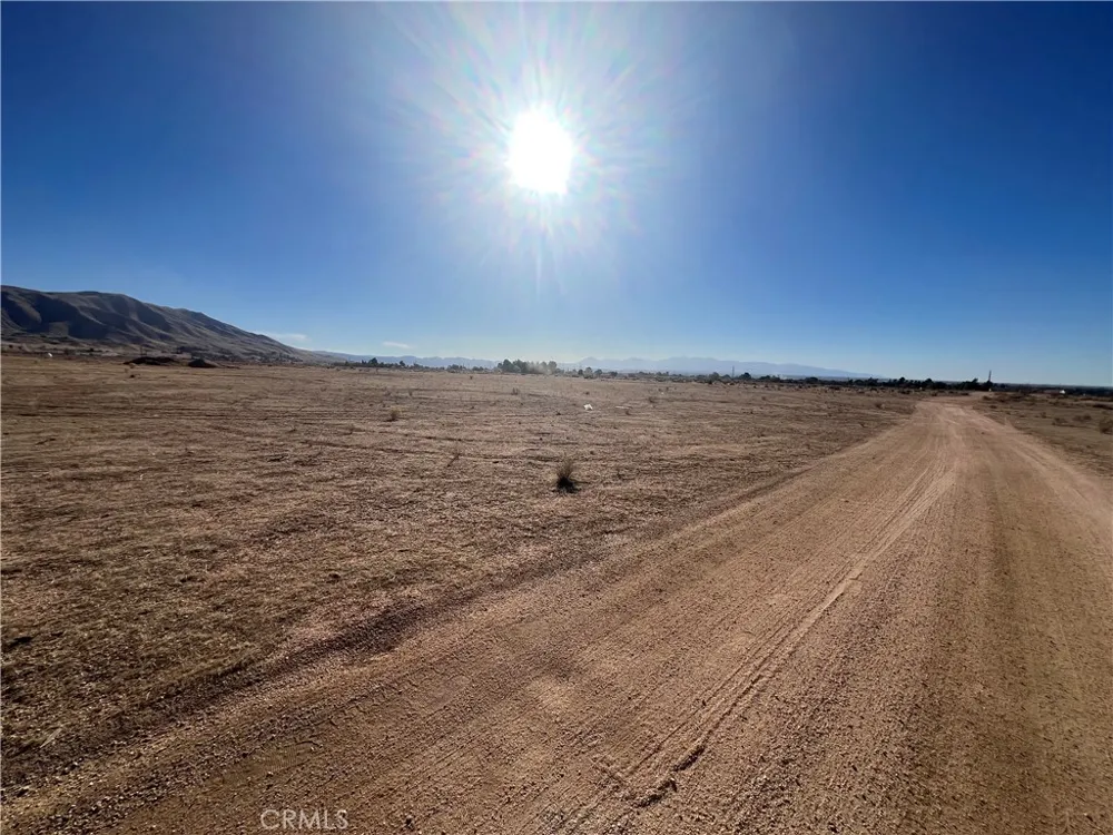 Panoche Apple Valley, CA 92308