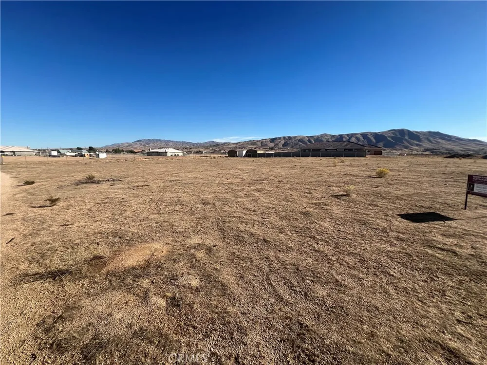 Panoche Apple Valley, CA 92308