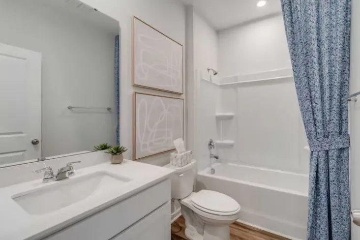 3638 Haplander Court Columbia, TN 38401