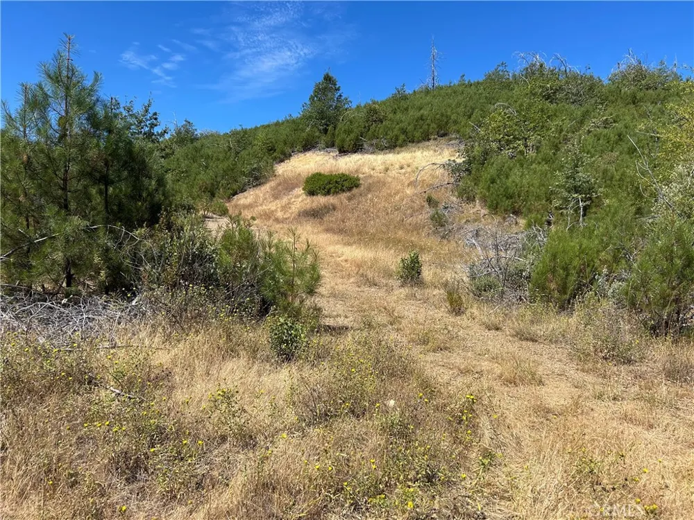 7396 15th Lucerne, CA 95458