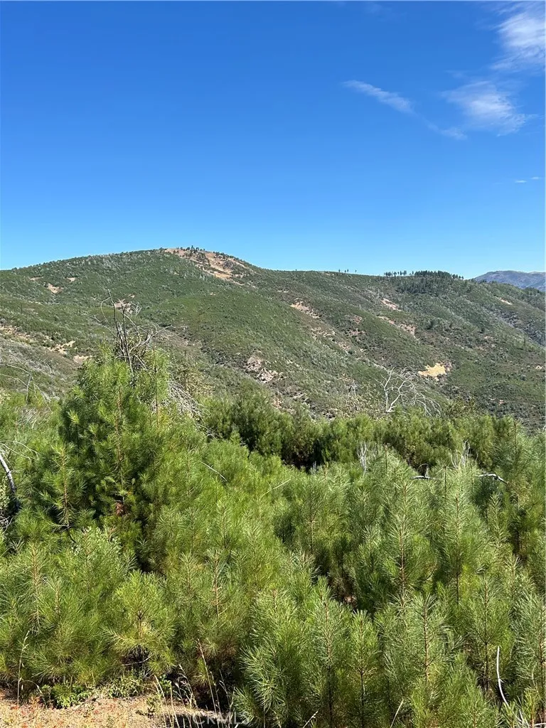 7396 15th Lucerne, CA 95458