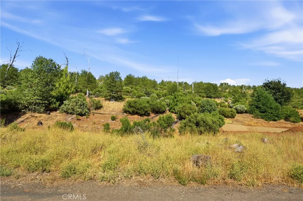 15250 Evergreen Cobb, CA 95426