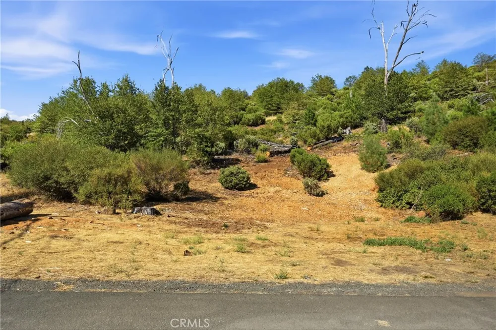 15250 Evergreen Cobb, CA 95426