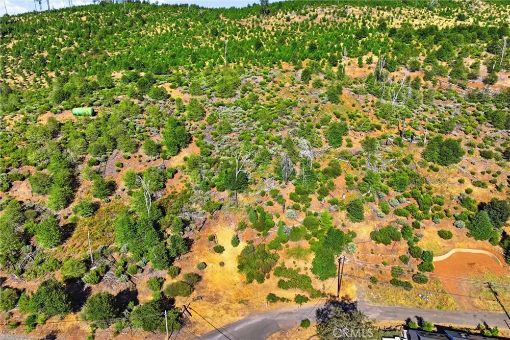 15250 Evergreen Cobb, CA 95426