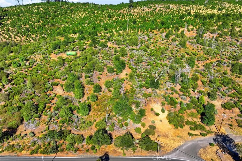 15250 Evergreen Cobb, CA 95426