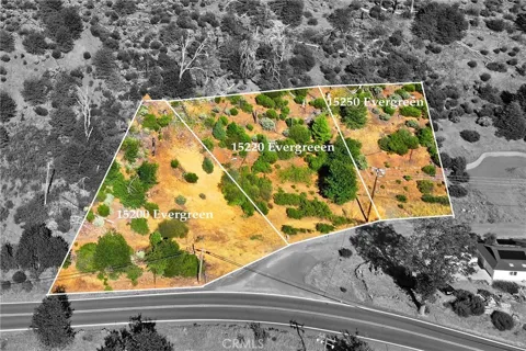 15250 Evergreen