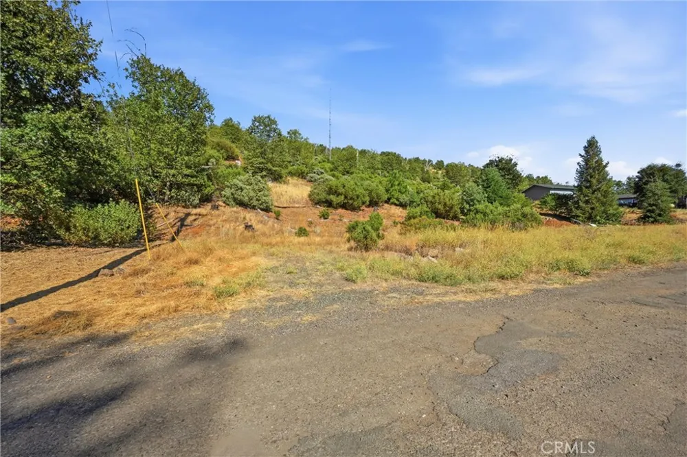 15250 Evergreen Cobb, CA 95426