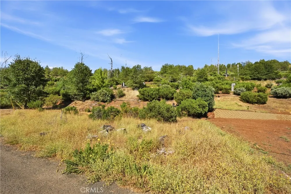 15250 Evergreen Cobb, CA 95426