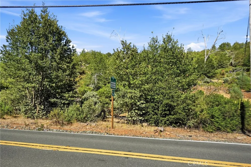 15250 Evergreen Cobb, CA 95426