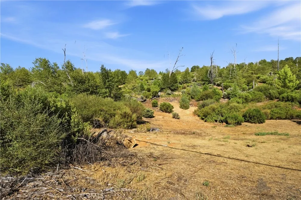 15250 Evergreen Cobb, CA 95426