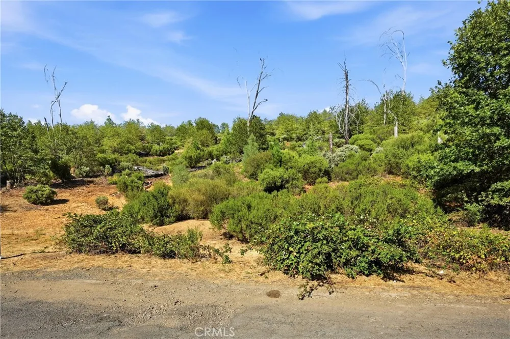 15250 Evergreen Cobb, CA 95426