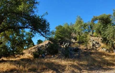 3695 Spring valley rd