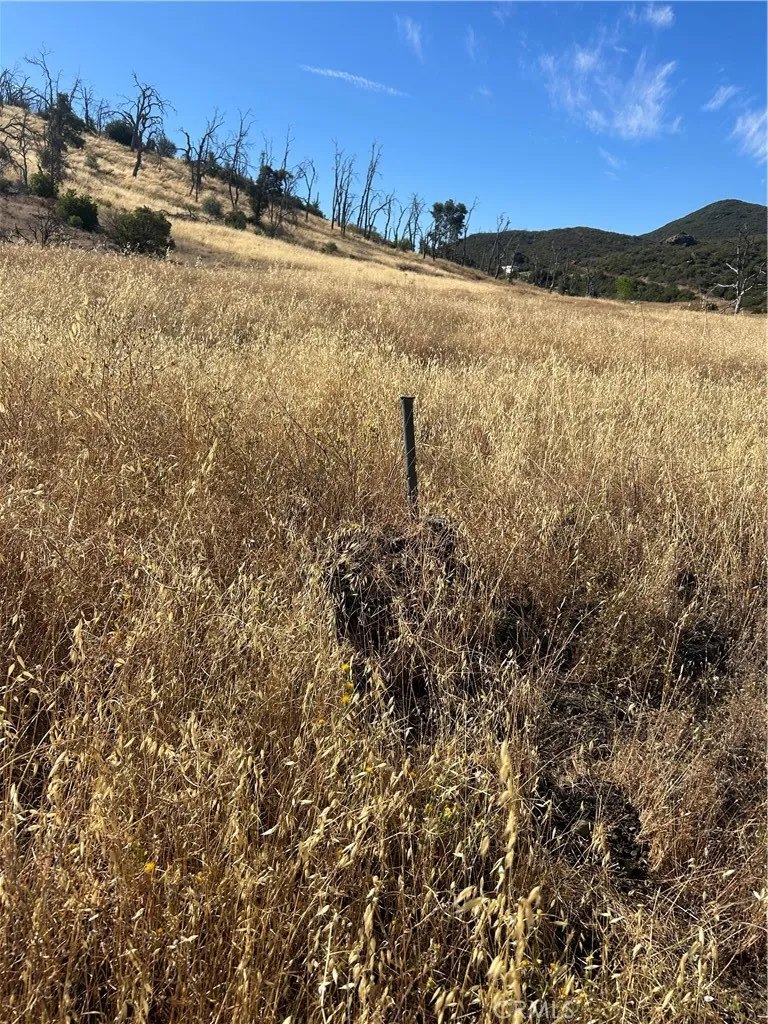 8020 Rocky Creek Lower Lake, CA 95457