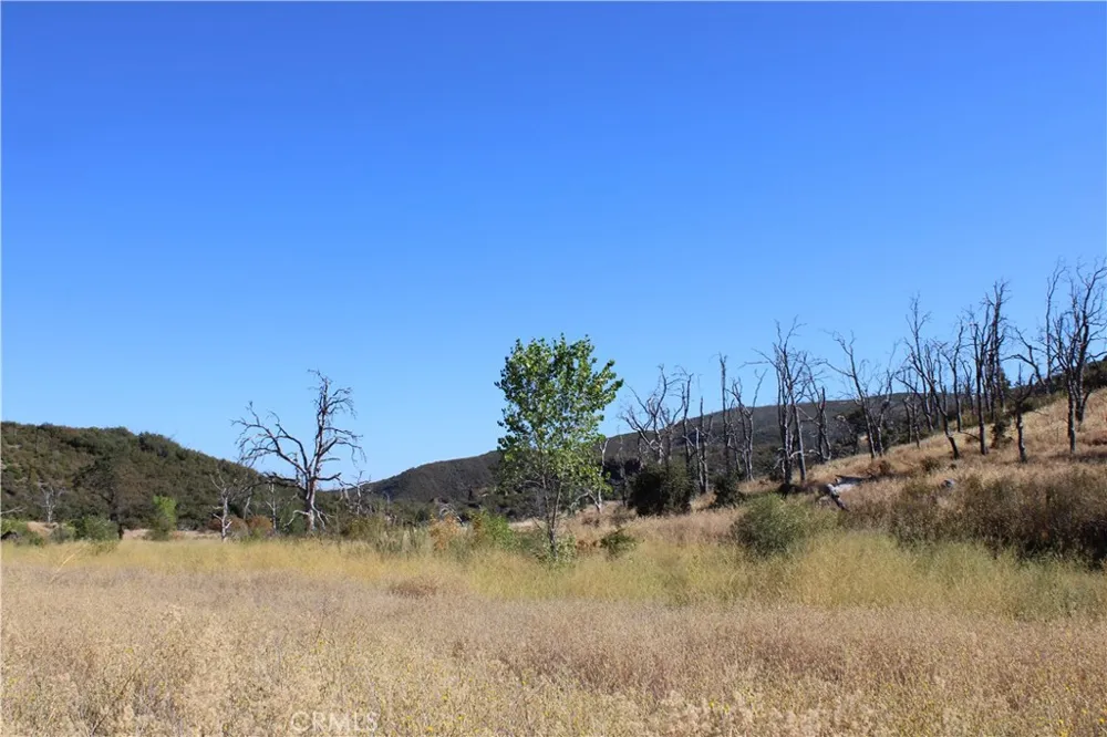 8020 Rocky Creek Lower Lake, CA 95457