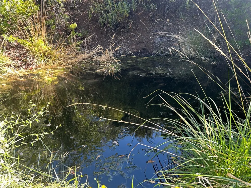 8020 Rocky Creek Lower Lake, CA 95457
