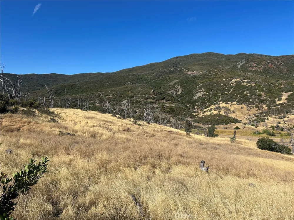 8020 Rocky Creek Lower Lake, CA 95457