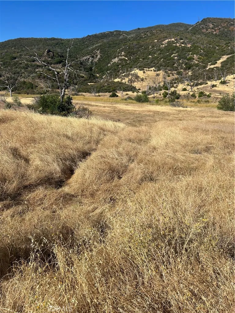 8020 Rocky Creek Lower Lake, CA 95457