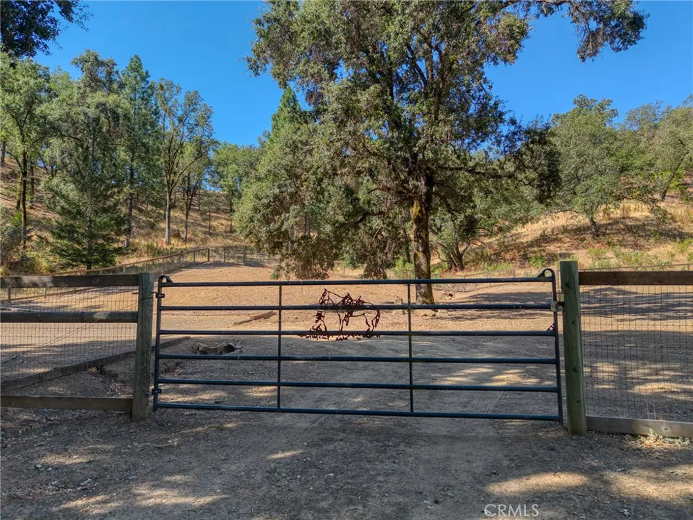 12431 Elk Mountain Upper Lake, CA 95485