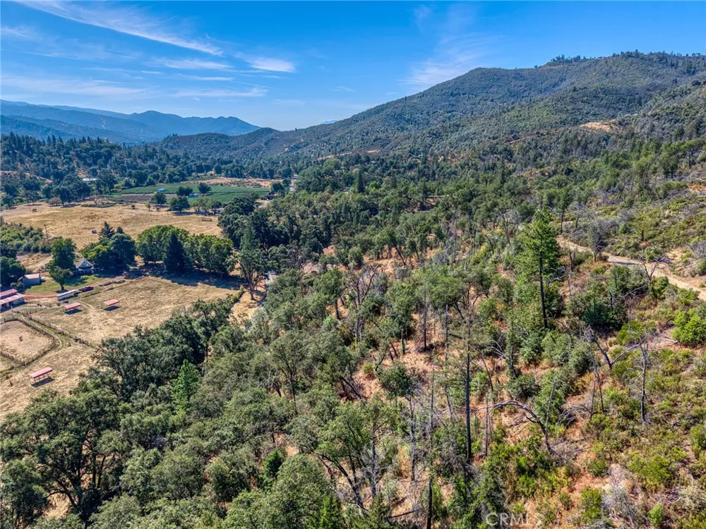 12431 Elk Mountain Upper Lake, CA 95485