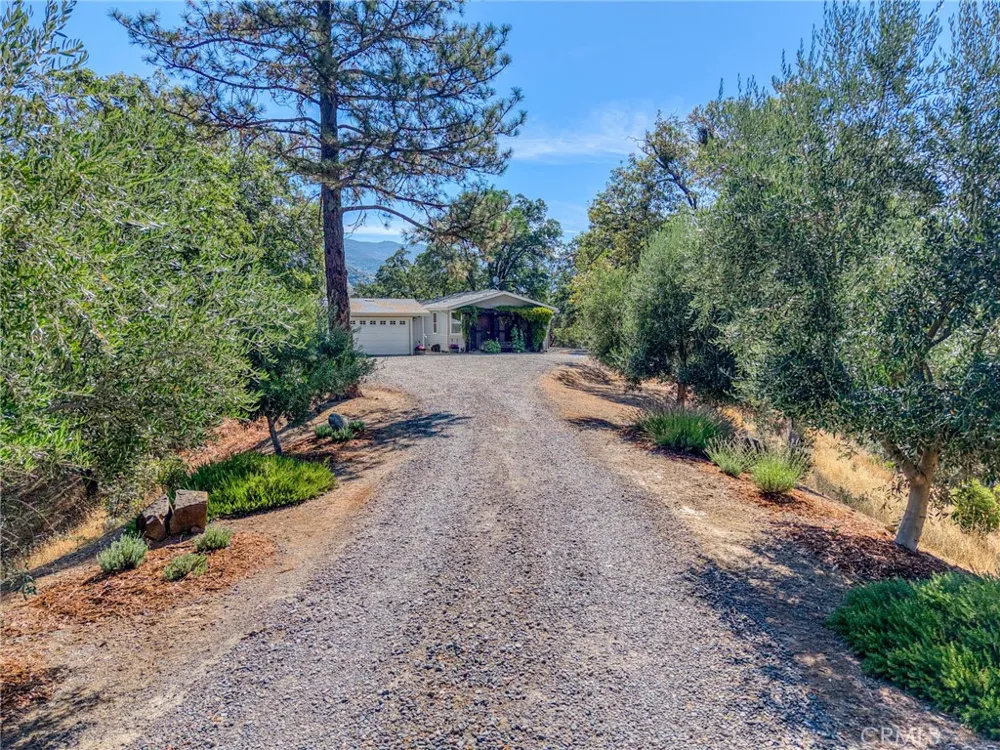 12431 Elk Mountain Upper Lake, CA 95485