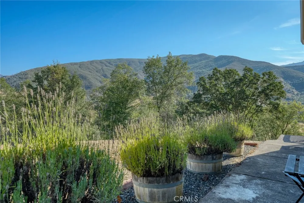 12431 Elk Mountain Upper Lake, CA 95485