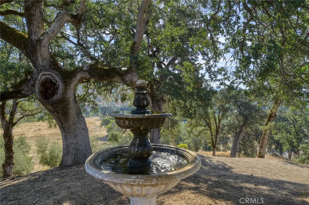 12431 Elk Mountain Upper Lake, CA 95485