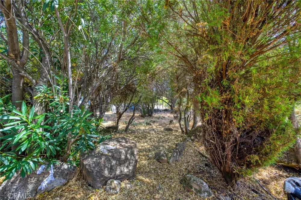 10055 Monte Cristo Kelseyville, CA 95451